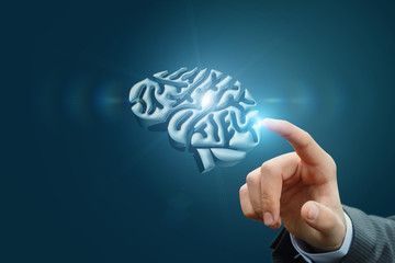 Hand clicks the brain model .