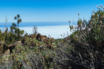 Nationalpark El Teide, Teneriffa, 2017