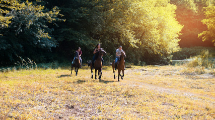 Group of friends riding horses on the river