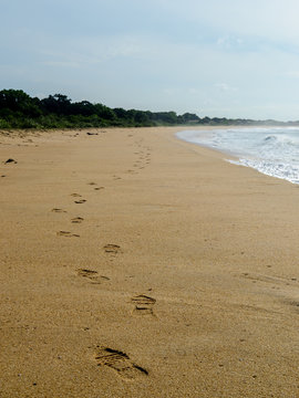 Fußstapfen an einem langen Strand auf Sri Lanka