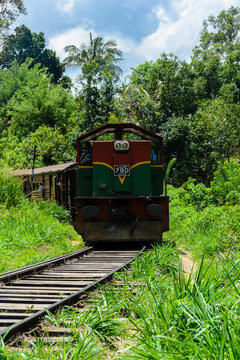Ein Zug fährt durch die Wildnis von Sri Lanka