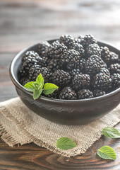 Bowl of fresh blackberries
