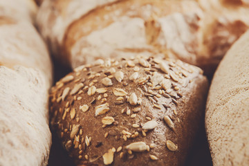Bread background, closeup of white, whole grain and rye loaves