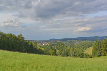 Fototapeta premium ödenwälder Landschaft