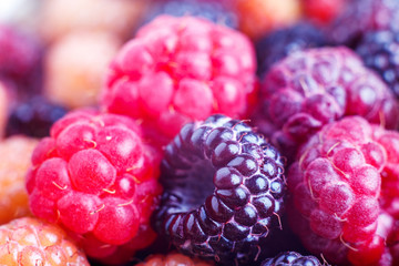 Close-up image of wild berries of raspberry and blackberry. Healthy eating background