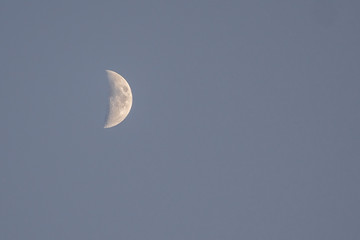 Obraz na płótnie Canvas Moon Half in Blue Sky, creamy white moon