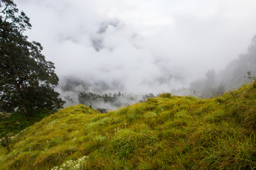 Fototapeta na wymiar Forested mountain slope in low lying cloud in mist in a scenic landscape view.
