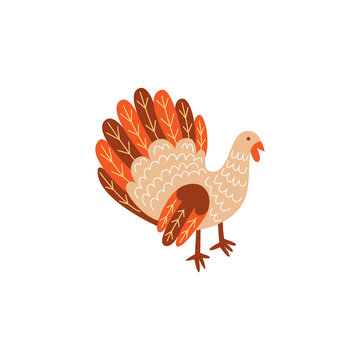 Vector turkey bird flat illustration isolated on a white background. Cartoon symbol of thanksgiving . Sign of autumn, harvest and farming. Healthy , fresh, dieting and natural eating.