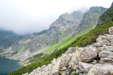 Górski krajobraz okolicy Kościelca w Tatrach. © sly10000