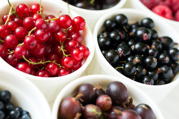  Bowls with fresh ripe gooseberry, red currant, black currant, raspberry, blueberry and cherry on white wooden table