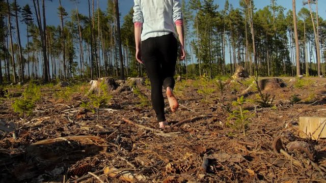Woman slowly walking barefeet through the harvested spruce forest