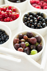  Bowls with fresh ripe gooseberry, red currant, black currant, raspberry, blueberry and cherry on white wooden table