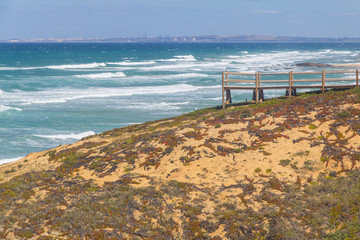 Fototapeta premium Viepont and dune vegetation in Queimado beach, Vila Nova de Milfontes