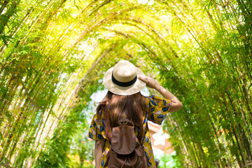 Tourist is visiting tunnel of bamboo forest during summer. 