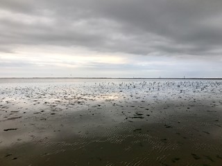 Wattenmeer/Nordsee (Ostfriesland)