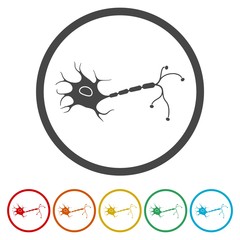 Nerve Cell Icons set Flat Graphic Design - Illustration 