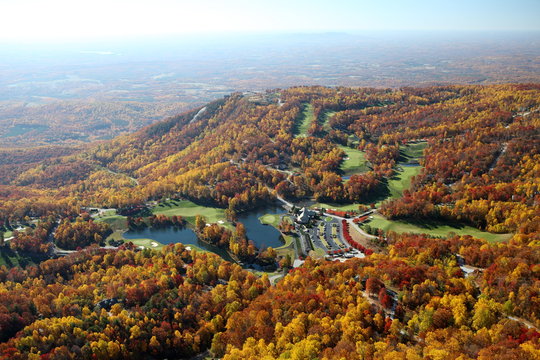 Aerial Photo of Hillside in the Fall with colorful leaves and trees