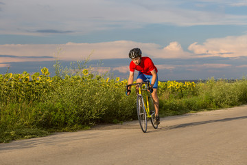 A cyclist rides on a road bike along fields of sunflowers.