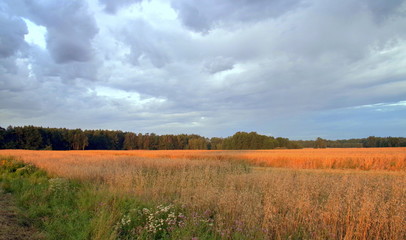 pola uprawne © Henryk Niestrój