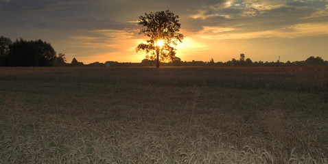 wschód słońca na wsi © Henryk Niestrój