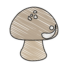 fresh healthy vegetable icon