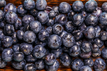 Freshly picked blueberries