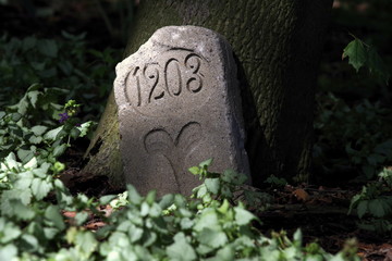 stary obelisk © Henryk Niestrój