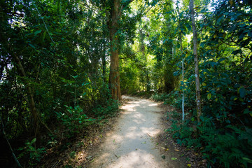 Fototapeta premium Kuang Si waterfall Luang Prabang