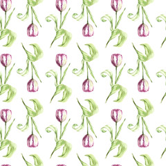 Illustration in watercolor of a Tulips flower. Floral card with flowers. Botanical illustration seamless pattern.
