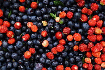 Blueberries and strawberries on an old wooden table