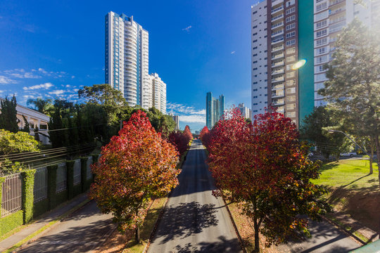 Curitiba, Brazil - Amazing autumn in south of Brazil. Building architecture in the city.