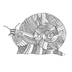 Hand drawn doodle vector outline snail illustration decorated with abstract ornaments. Abstract mobochrome snail drawing