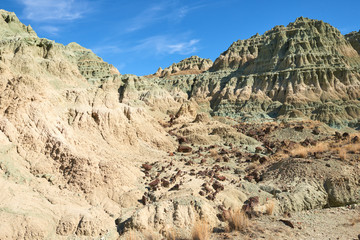 Fototapeta na wymiar Surrealistic landscape in John Day Fossil Beds National Monument Blue Basin area with grey-blue badlands. A branched ravine and Heavily eroded formations.