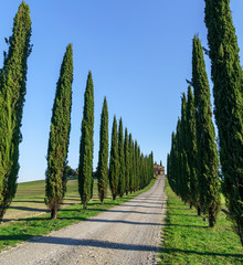 Tuscany landscape