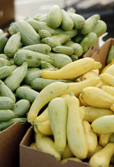 fresh squash