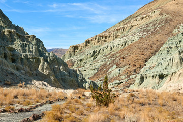 Surrealistic landscape in John Day Fossil Beds National Monument Blue Basin area with grey-blue badlands. A branched ravine and Heavily eroded formations.