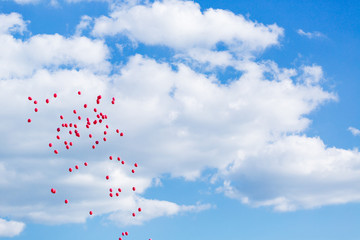 Balloons in the sky 