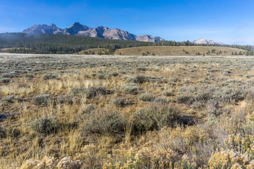 Grassland in Sawtooth Mountains