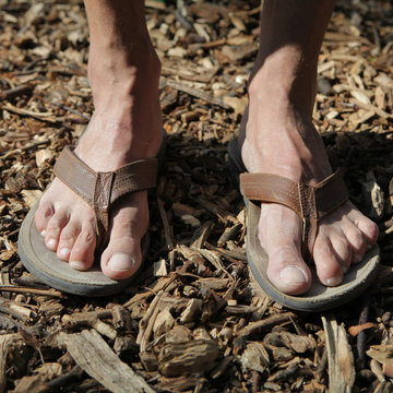 「Slache」の画像 - 63 件の Stock 写真、ベクターおよびビデオ | Adobe Stock