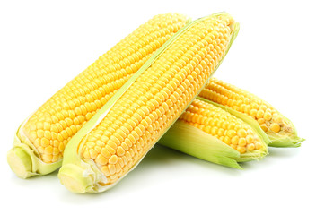 Fresh corn on cob isolated on white background