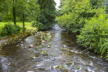 Gutach river in Black Forest, Germany