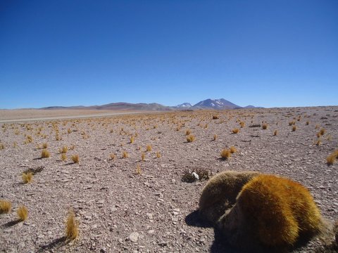 deserto andes