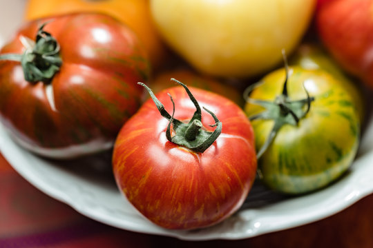 Historische Tomaten in weisser Schale