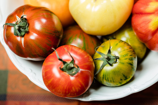 Historische Tomaten in weisser Schale