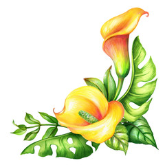 watercolor botanical illustration, wild yellow tropical flowers, jungle green leaves, calla lily...