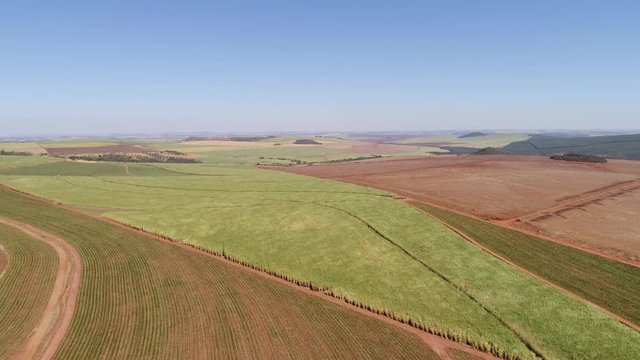 Flying Over Sugar Cane Field in Brazil