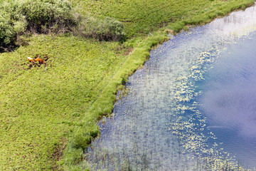 Region of the four lakes in the French Jura
