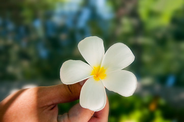 A young man  on a rock near the picturesque waterfalls.  located in the jungle, is located far from the city of Nha Trang in the province of Khan Hoa in Vietnam.