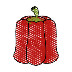 pepper vector illustration