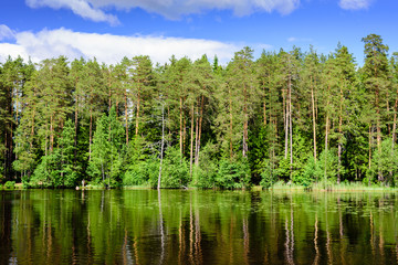 Obraz premium Shchuchye lake, a scenic forest lake in the village of Komarovo, Leningradskaya oblast, Russia